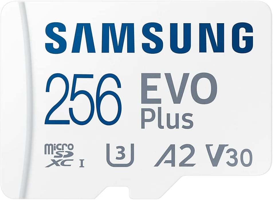 Samsung EVO Plus 256 GB