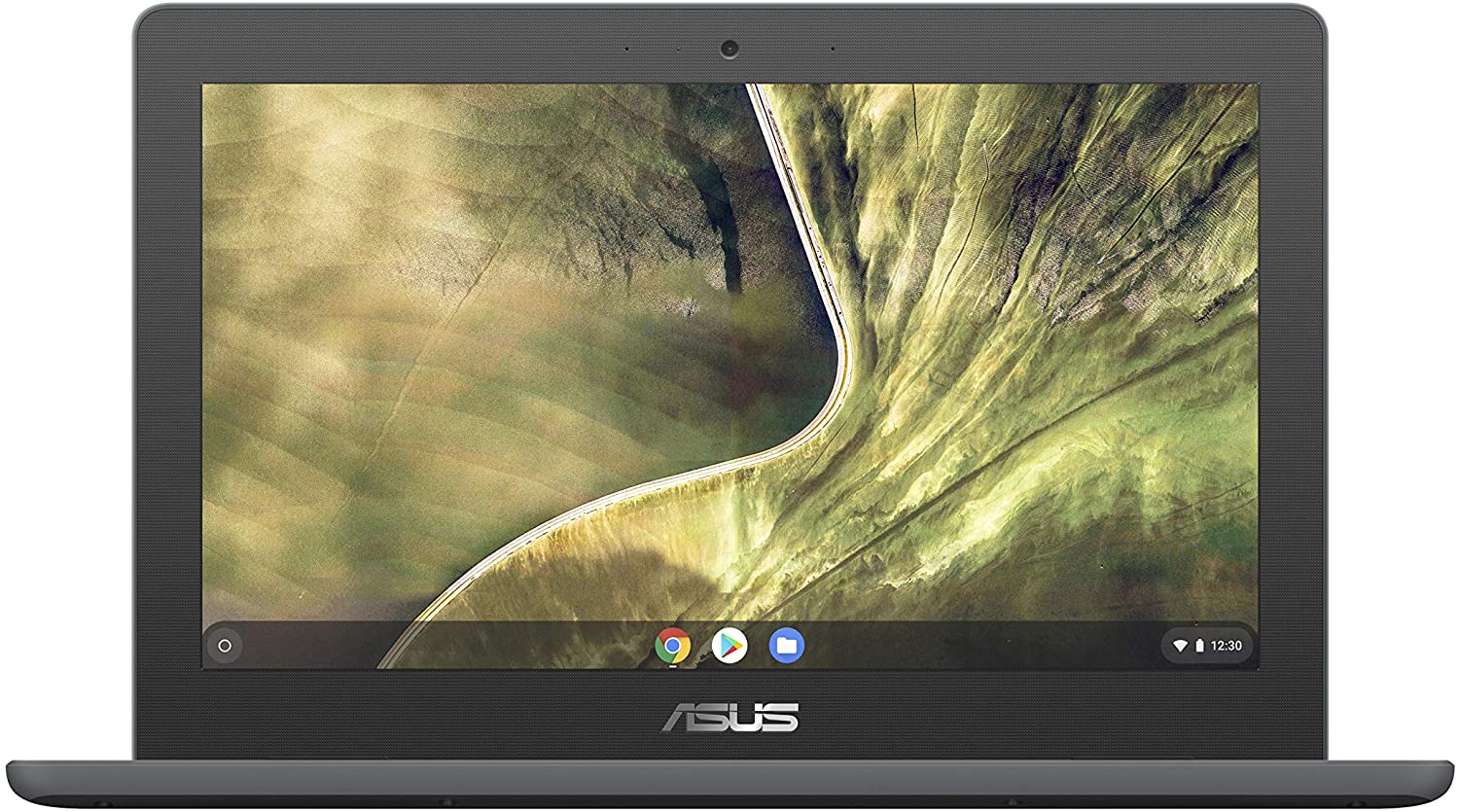 Asus Chromebook C204MA-GJ0342