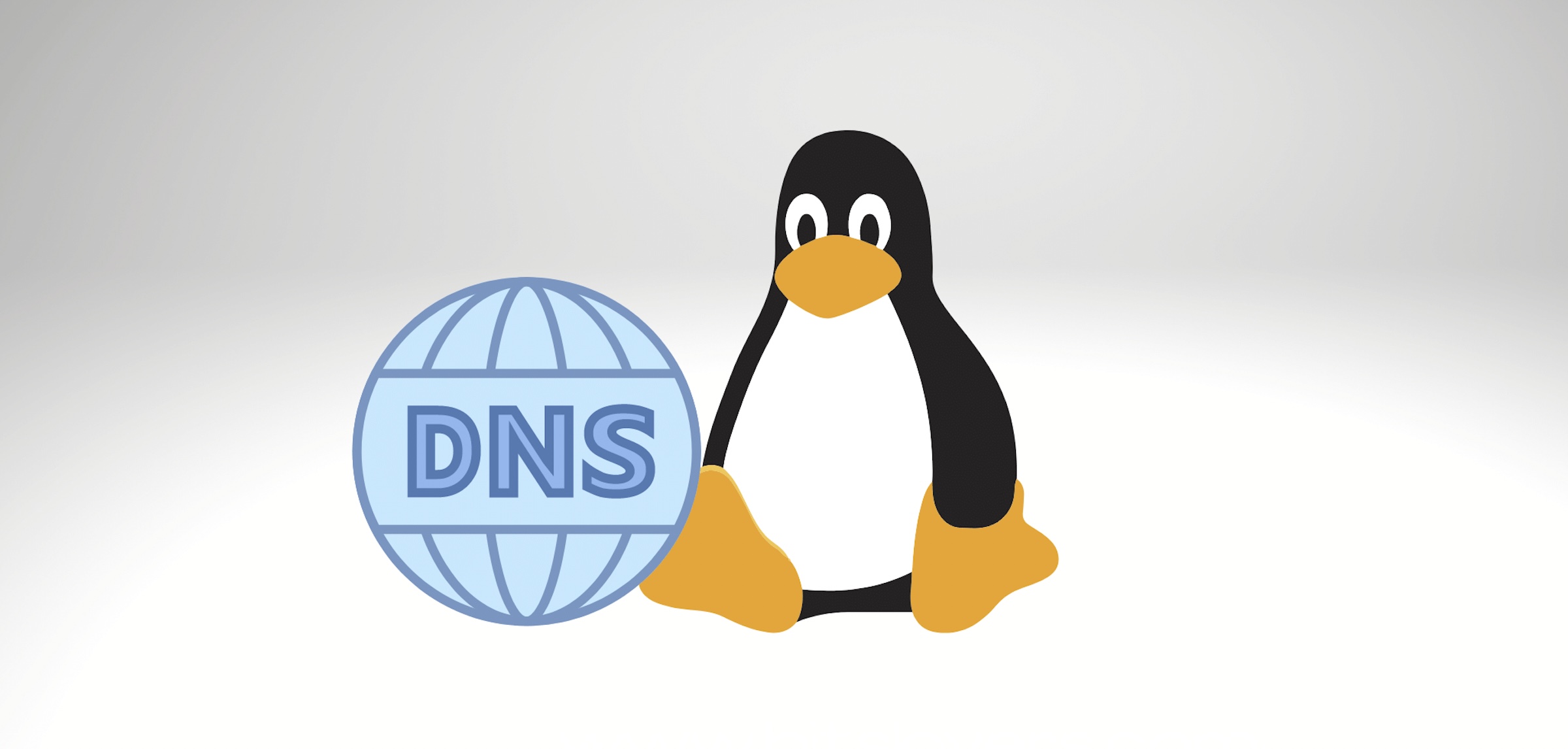 cambiar DNS en Linux
