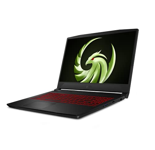 MSI Bravo 15 B5DD-006XES - Ordenador portátil de 15.6