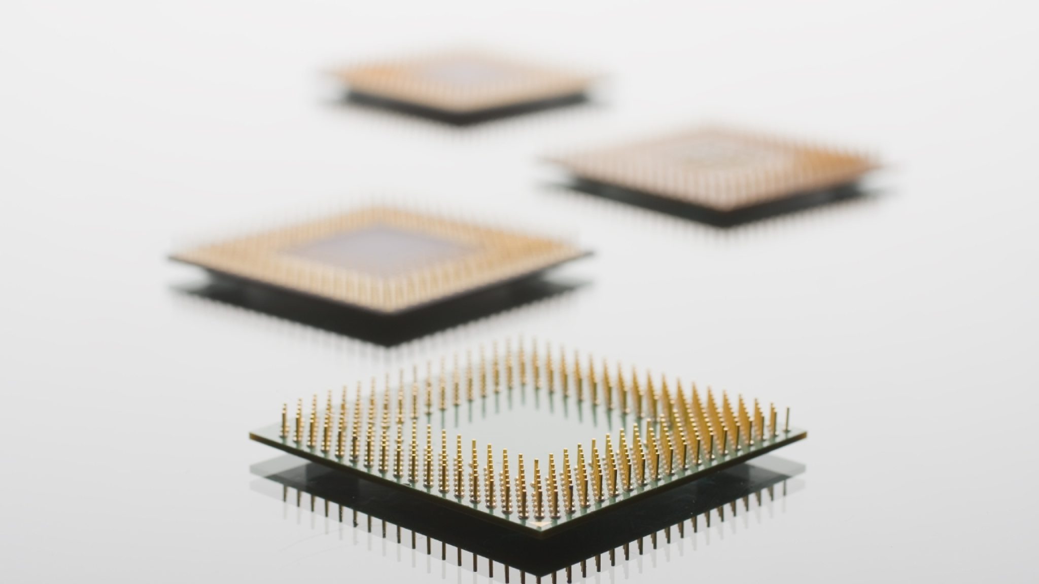 Boxed vs. Tray Processors: What's the Difference?