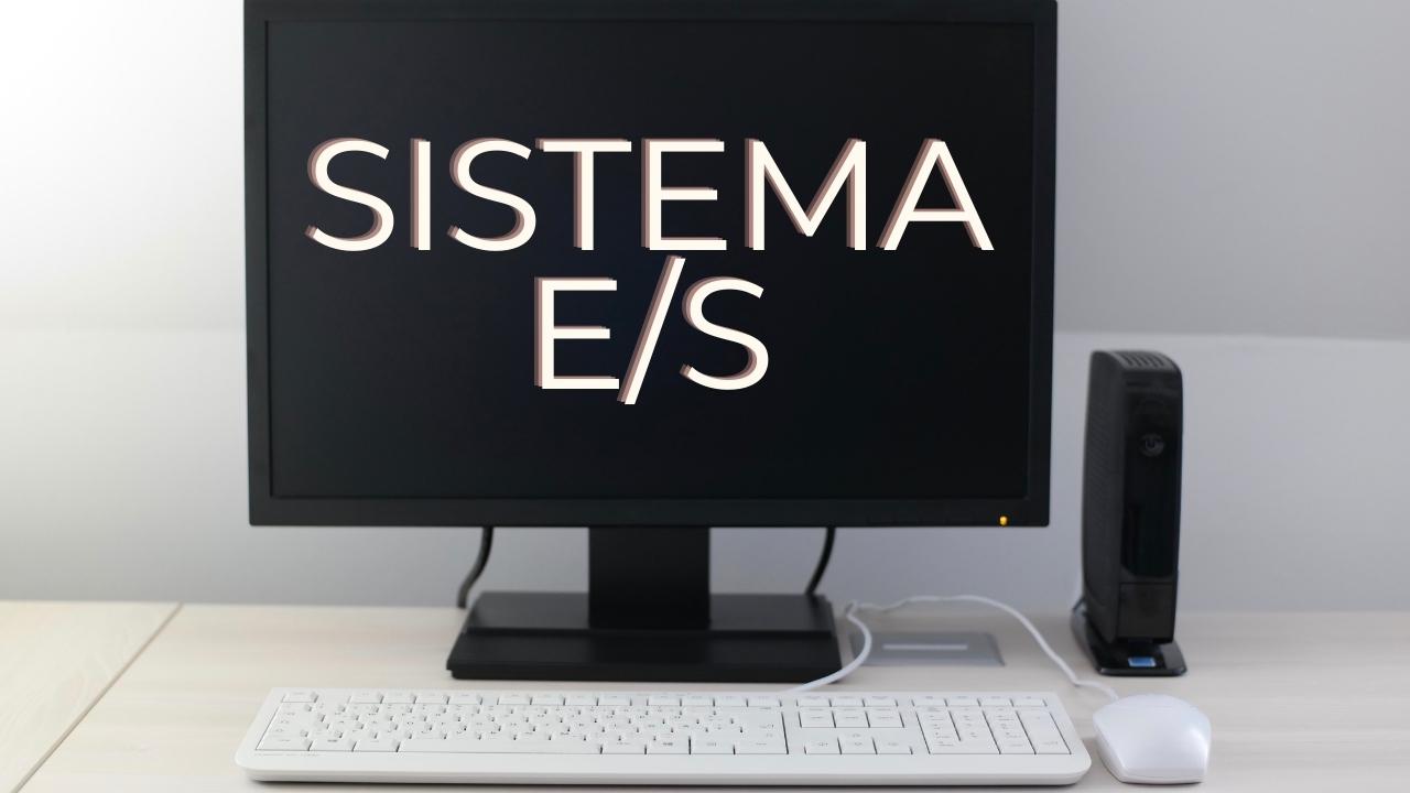 sistema de entrada y salida