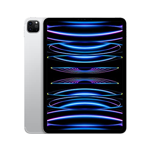 2022 Apple iPad Pro de 11 Pulgadas (Wi-Fi, 1 TB) - Plata (4.ª generación)