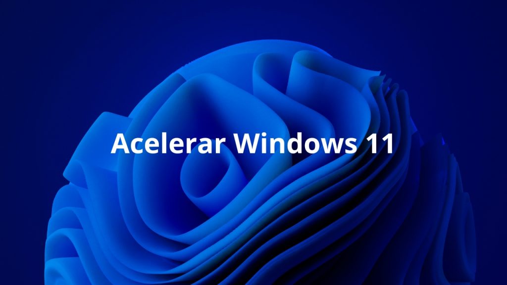 Windows 11