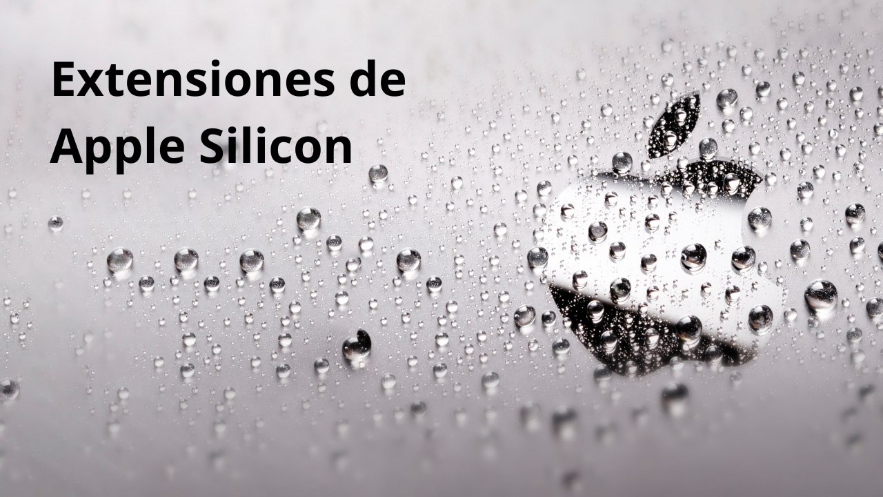 Apple AMX, extensiones