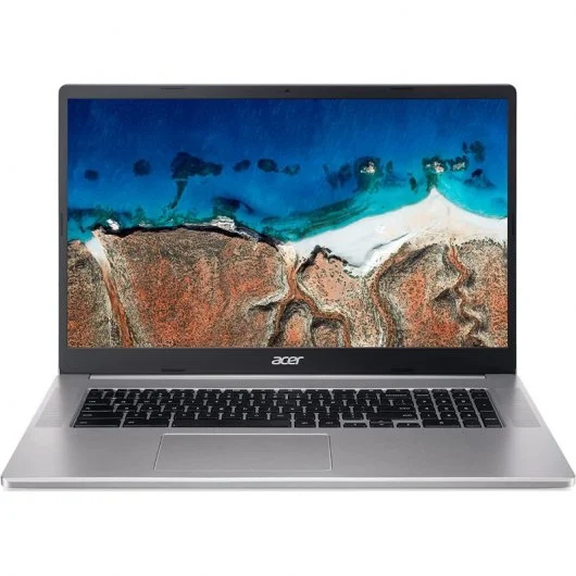 Acer Chromebook 317