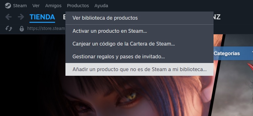 ¿Cómo abrir juegos externos en Steam?