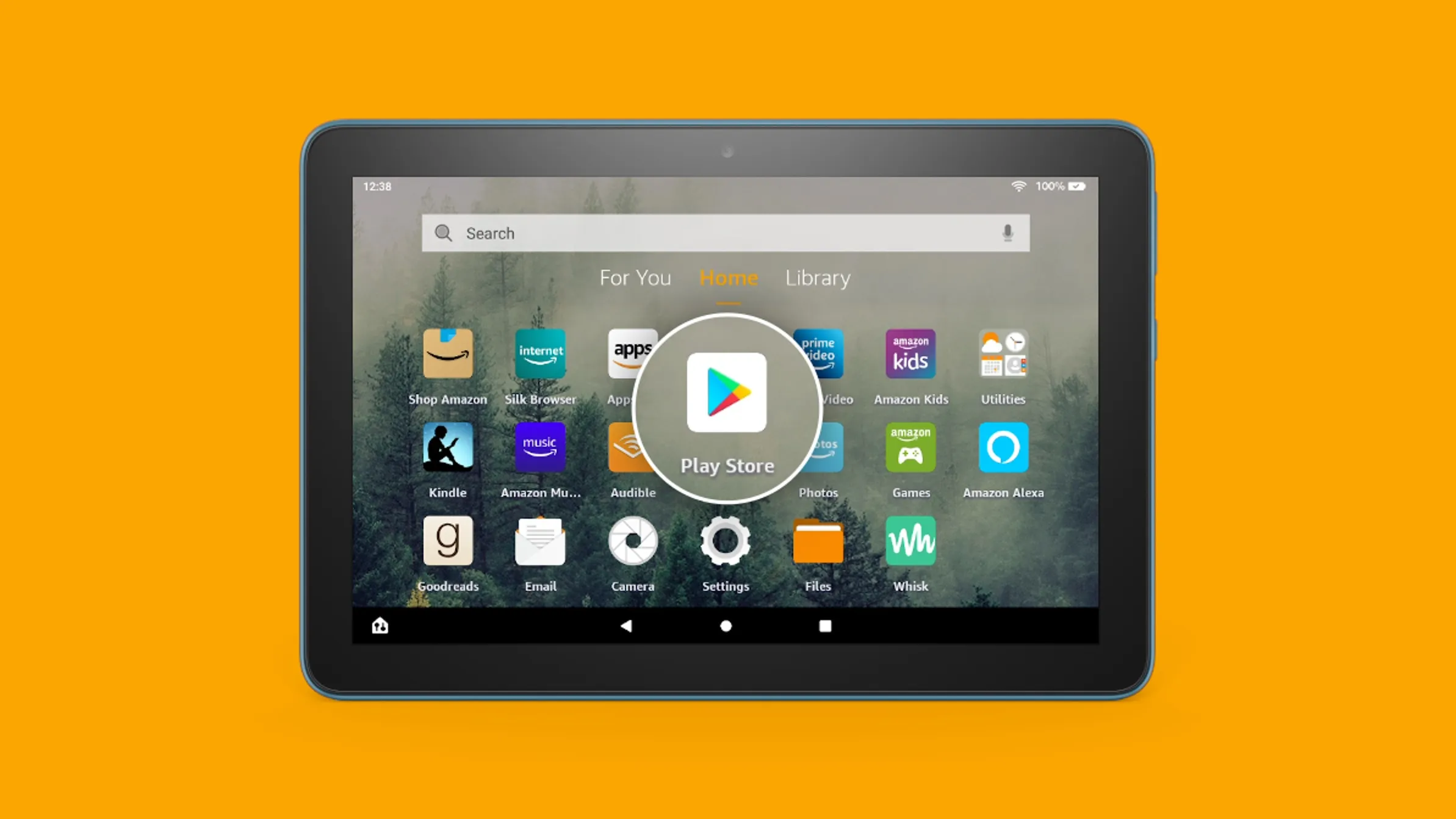 Google Play Store Amazon Fire