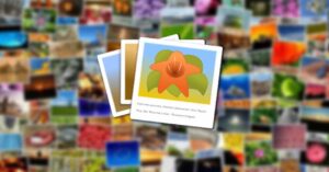 organizador de fotos para pc