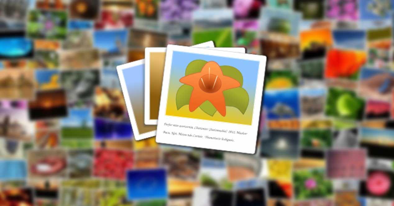 organizador de fotos para pc organizador de fotos para pc