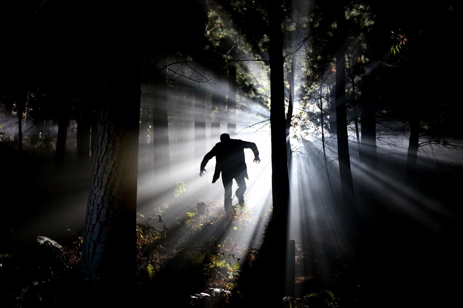 Silueta misteriosa en un bosque brumoso con iluminación dramática, evocando la atmósfera de terror folclórico.